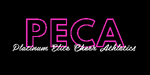 Platinum Elite Cheer Athletics